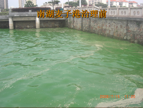 岳陽南湖水域污染藍藻爆發(fā)治理項目